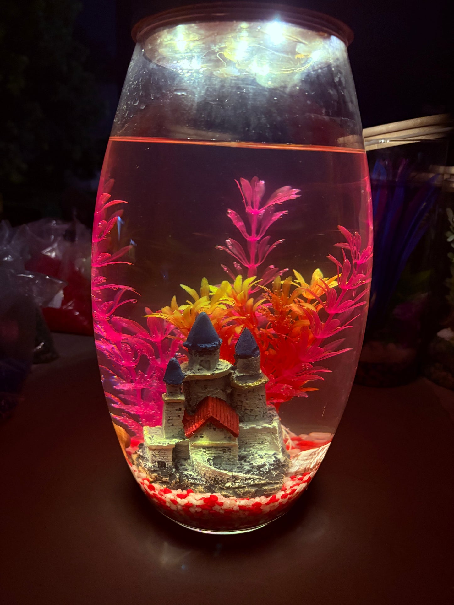 "Thabile DIY mini jar aquarium kit with colorful gravel, LED lid, and decorative plant – fun desktop tank by Infinity Aquariums South Africa"