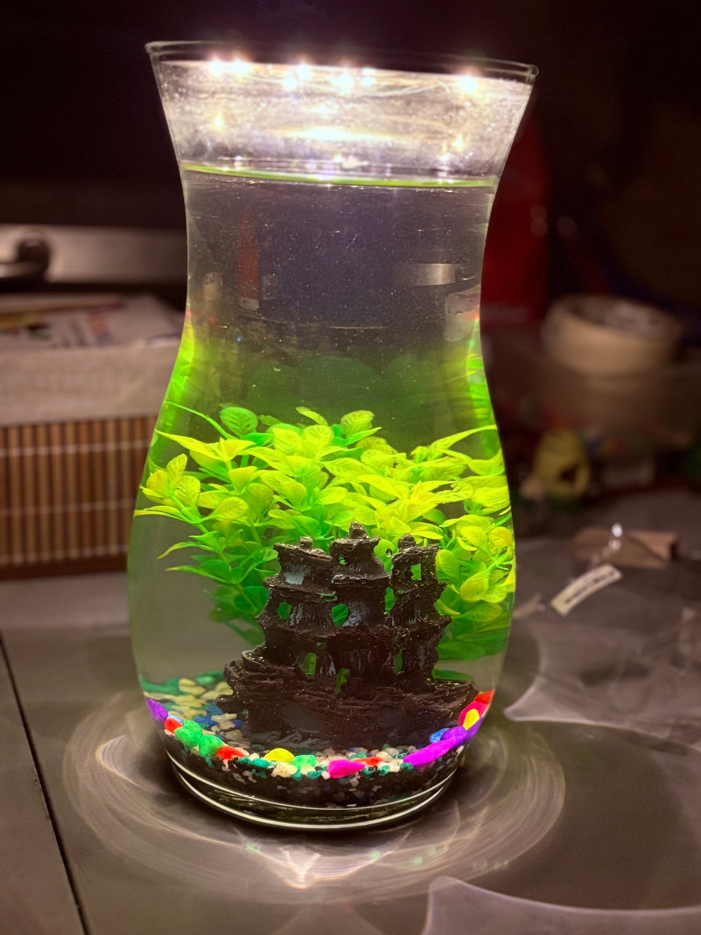 "Melo DIY mini jar aquarium kit with calming decor, artificial plant, and LED light – handcrafted by Infinity Aquariums South Africa"