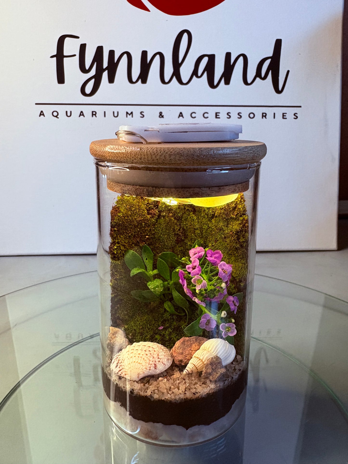 Nia – Compact Ready-Made Terrarium with LED Light