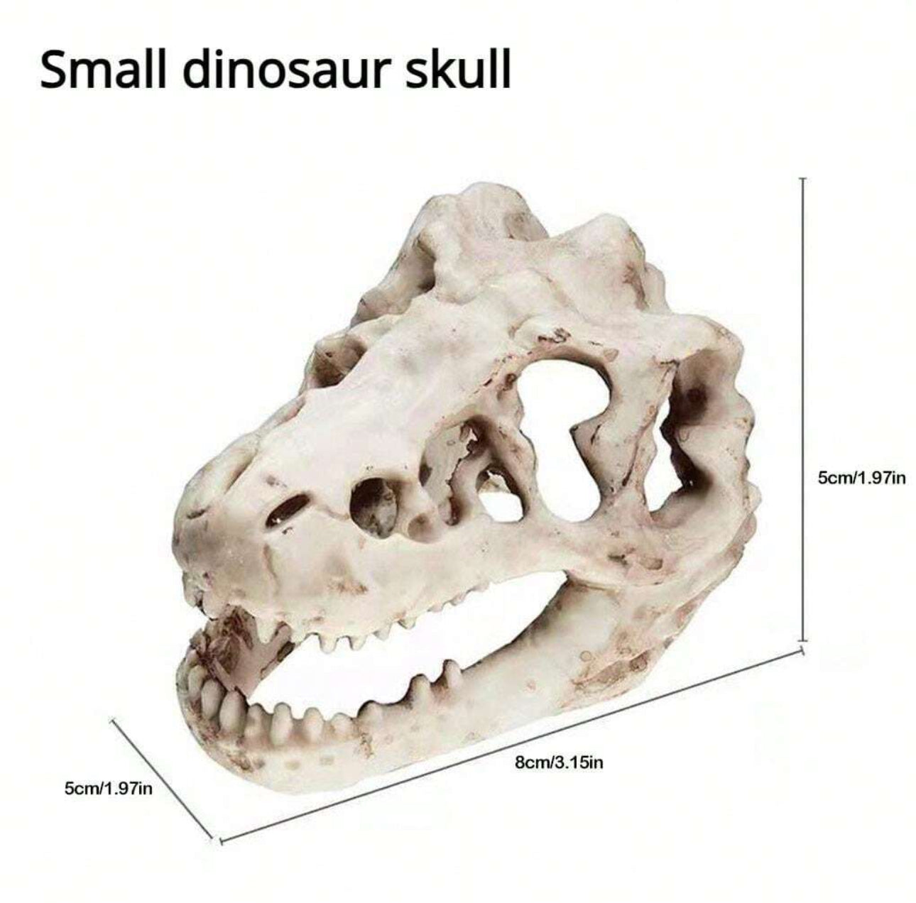 Dino aquarium decor