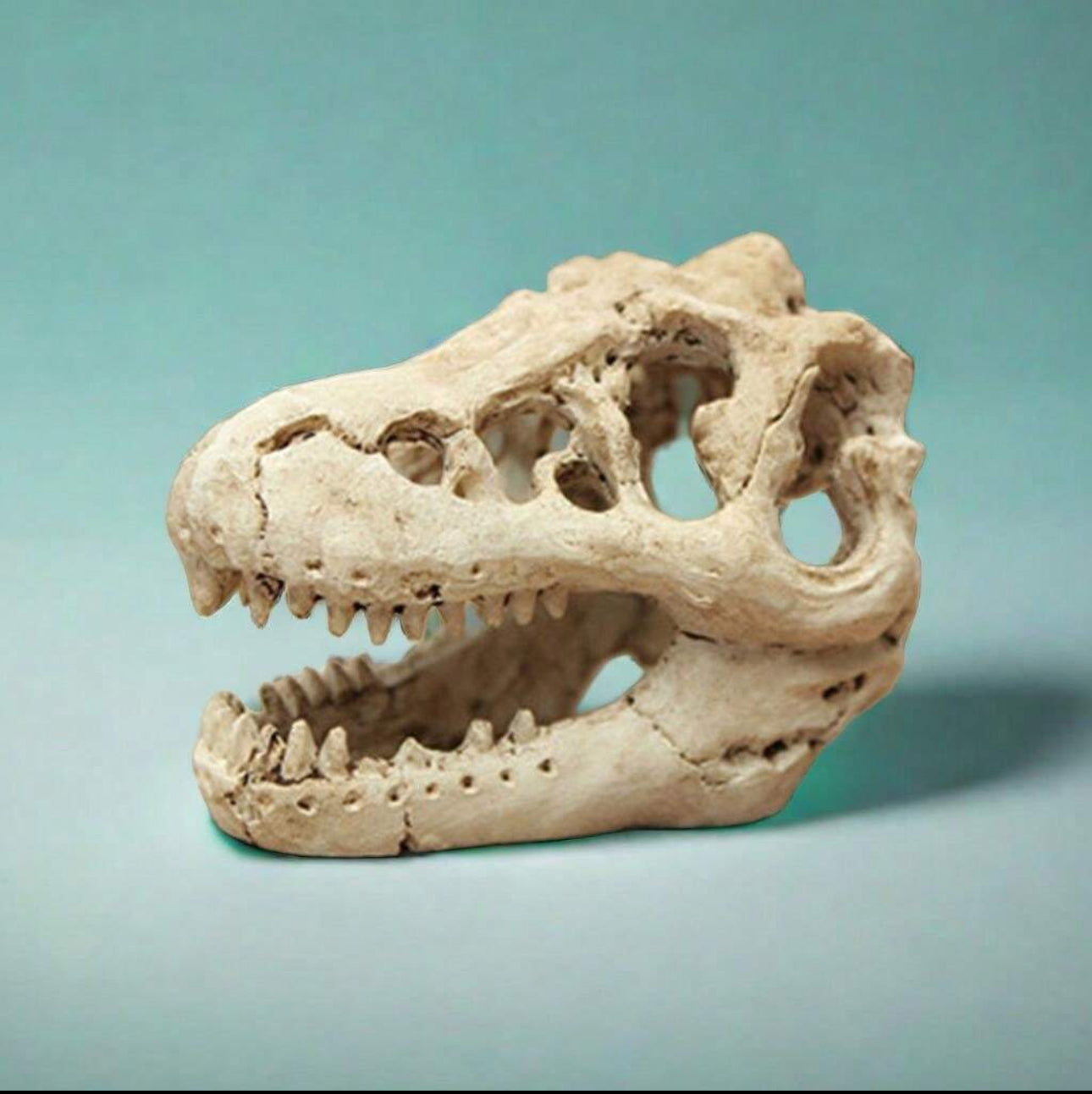 Dino aquarium decor