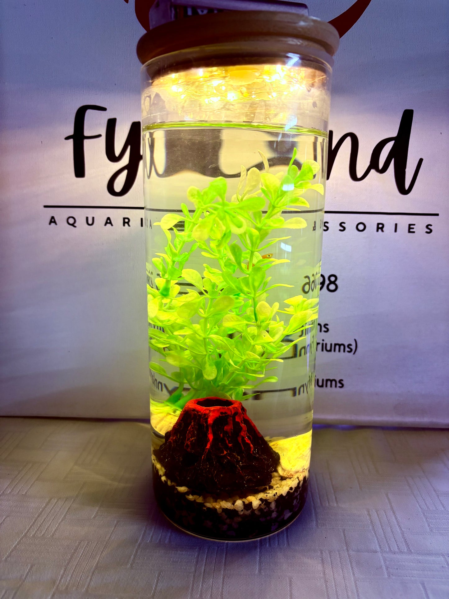 ✨ Zari – The Elegant DIY Muse - Mini Jar DIY Aquarium Kit with Gravel & Décor (Bestseller)