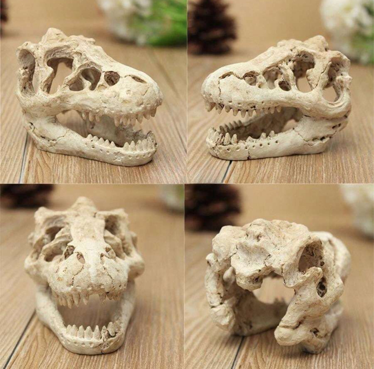 Dino aquarium decor
