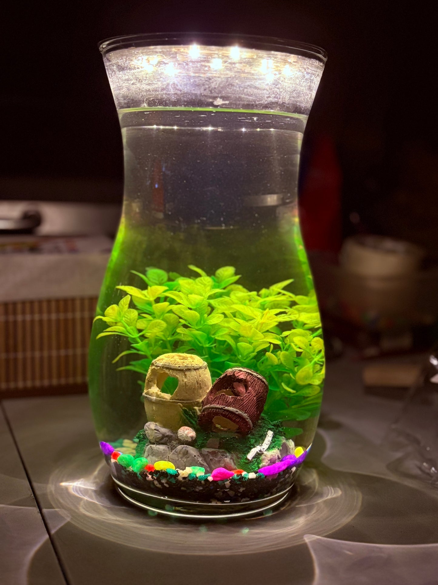 "Melo DIY mini jar aquarium kit with calming decor, artificial plant, and LED light – handcrafted by Infinity Aquariums South Africa"
