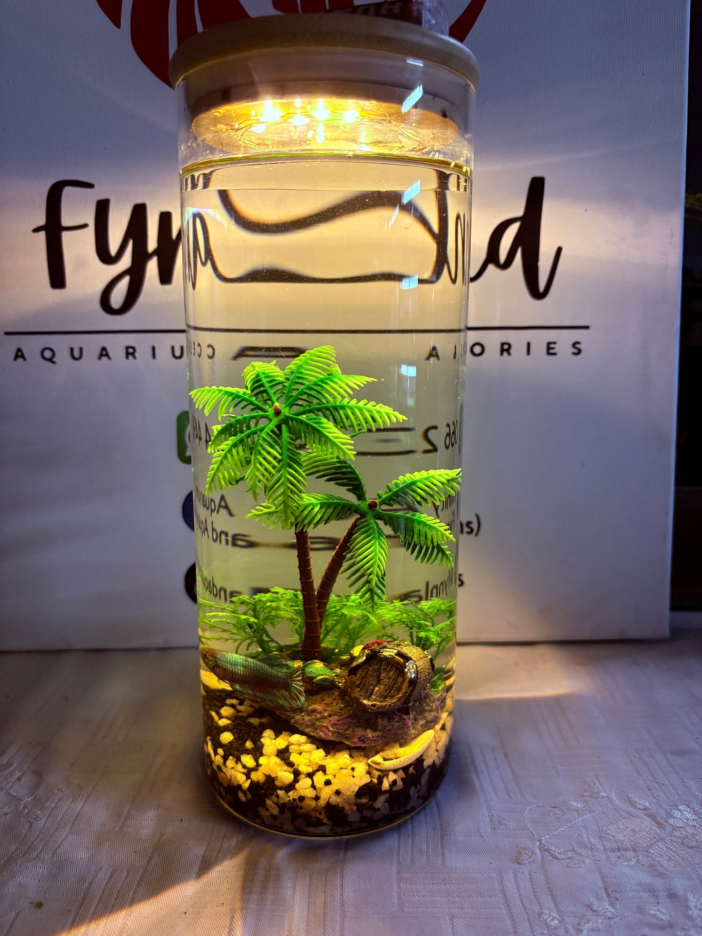 ✨ Zari – The Elegant DIY Muse - Mini Jar DIY Aquarium Kit with Gravel & Décor (Bestseller)