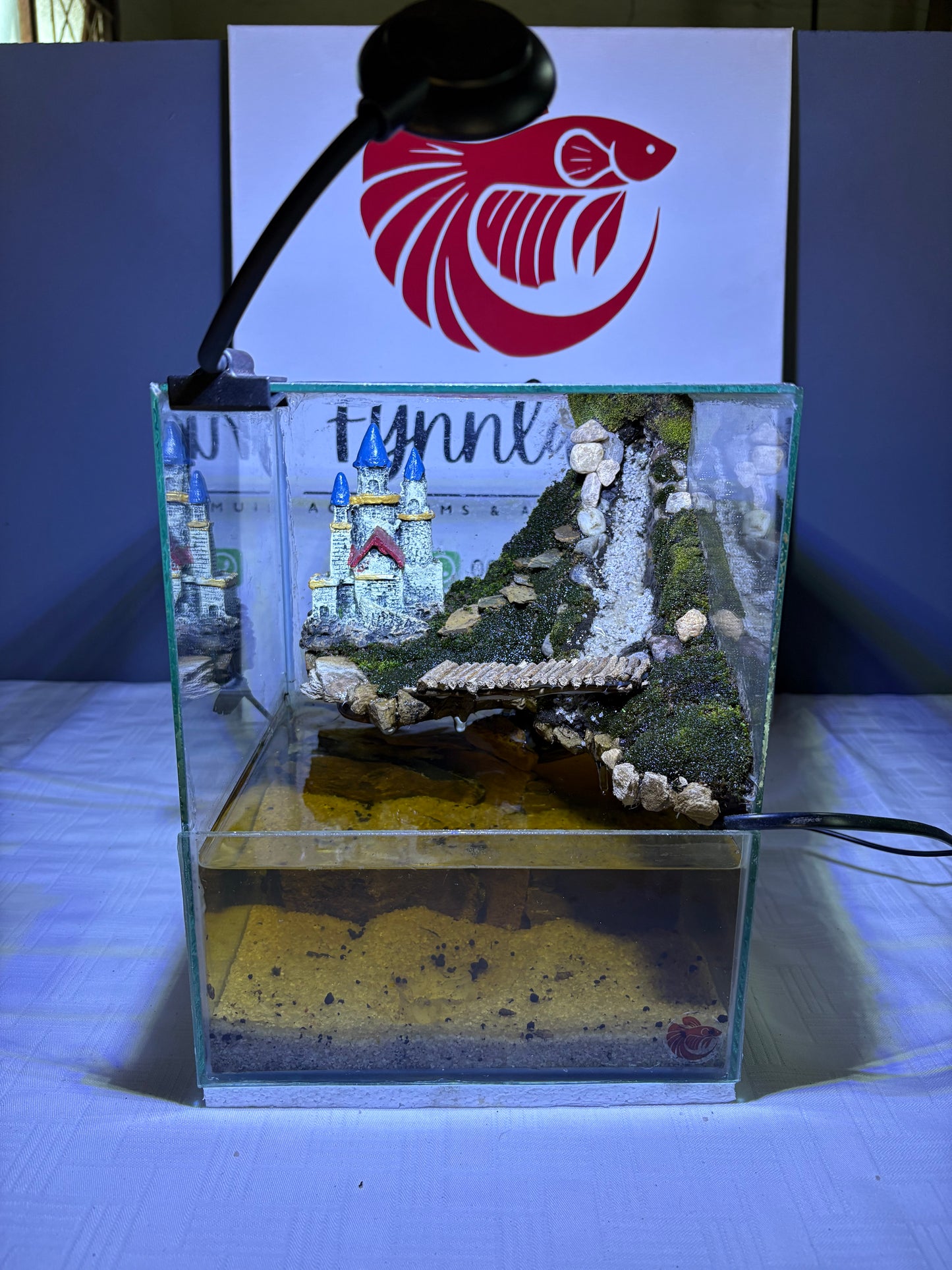 🌊 Kumo – Ready-Made Cube Paludarium with Waterfall & LED Light
