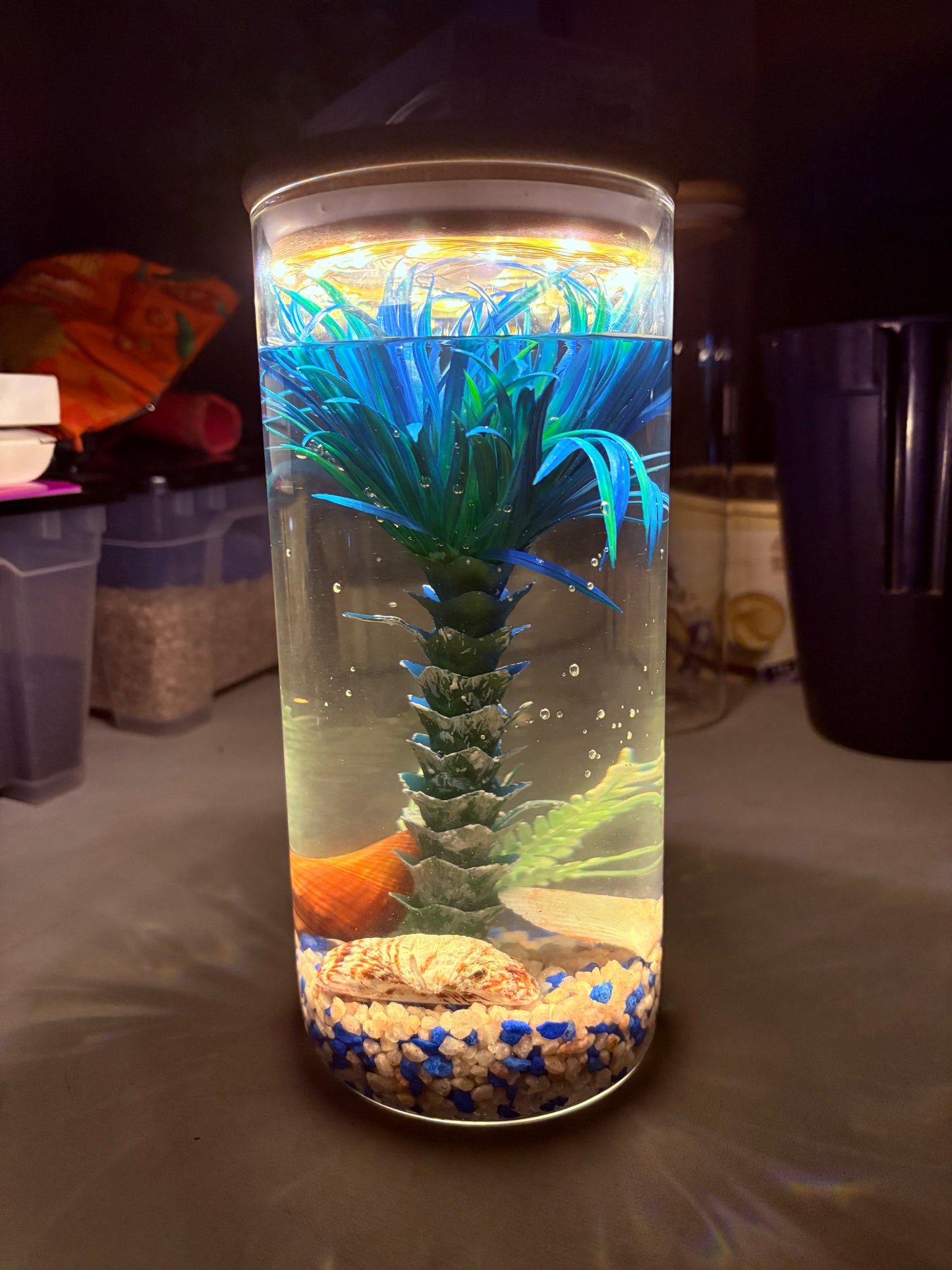 "Zari DIY mini jar aquarium kit with gravel, artificial plant, LED light, and decorative elements – bestselling desktop tank by Infinity Aquariums South Africa"