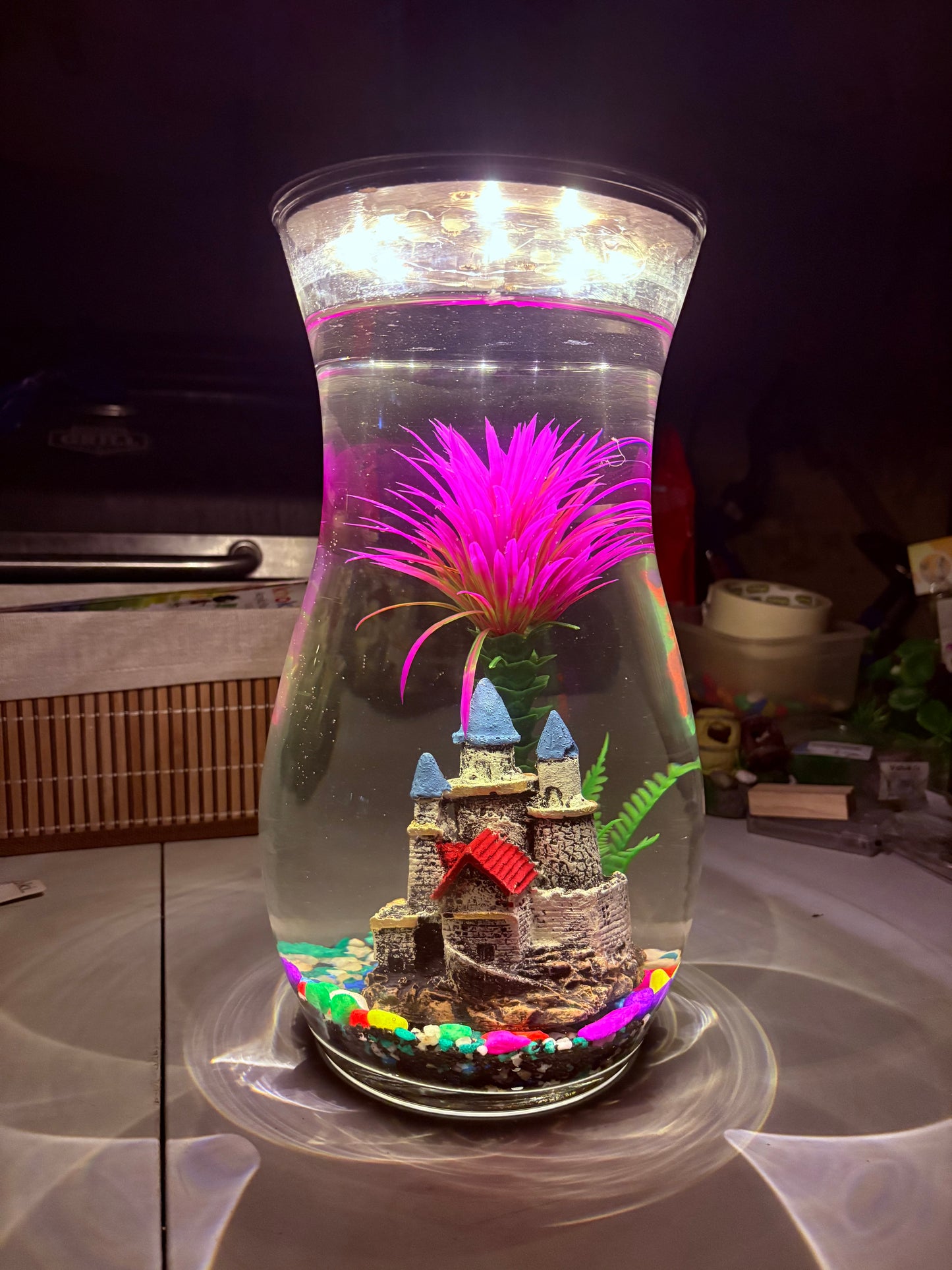 "Melo DIY mini jar aquarium kit with calming decor, artificial plant, and LED light – handcrafted by Infinity Aquariums South Africa"