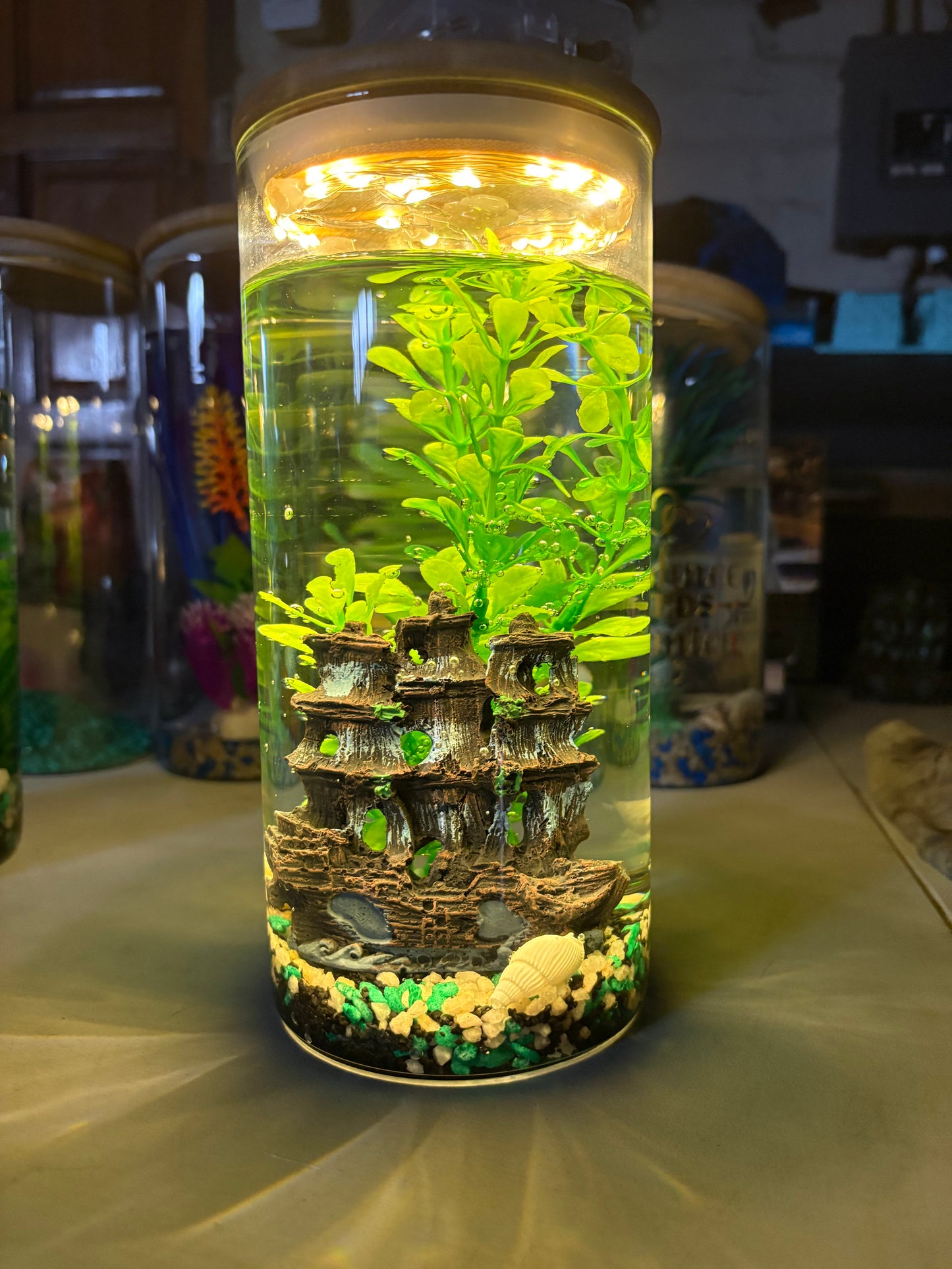 "Zari DIY mini jar aquarium kit with gravel, artificial plant, LED light, and decorative elements – bestselling desktop tank by Infinity Aquariums South Africa"