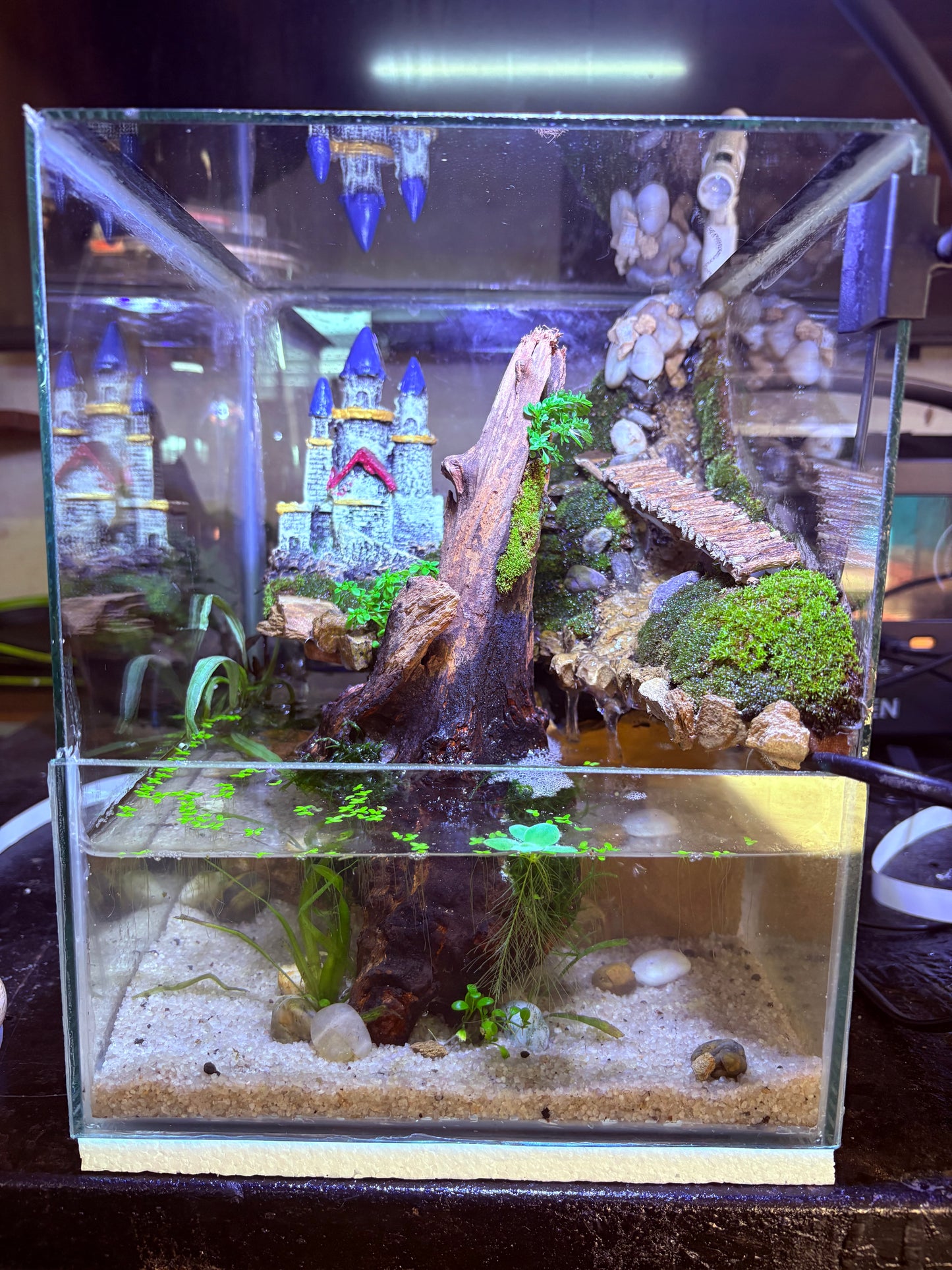 🌊 Kumo – Ready-Made Cube Paludarium with Waterfall & LED Light