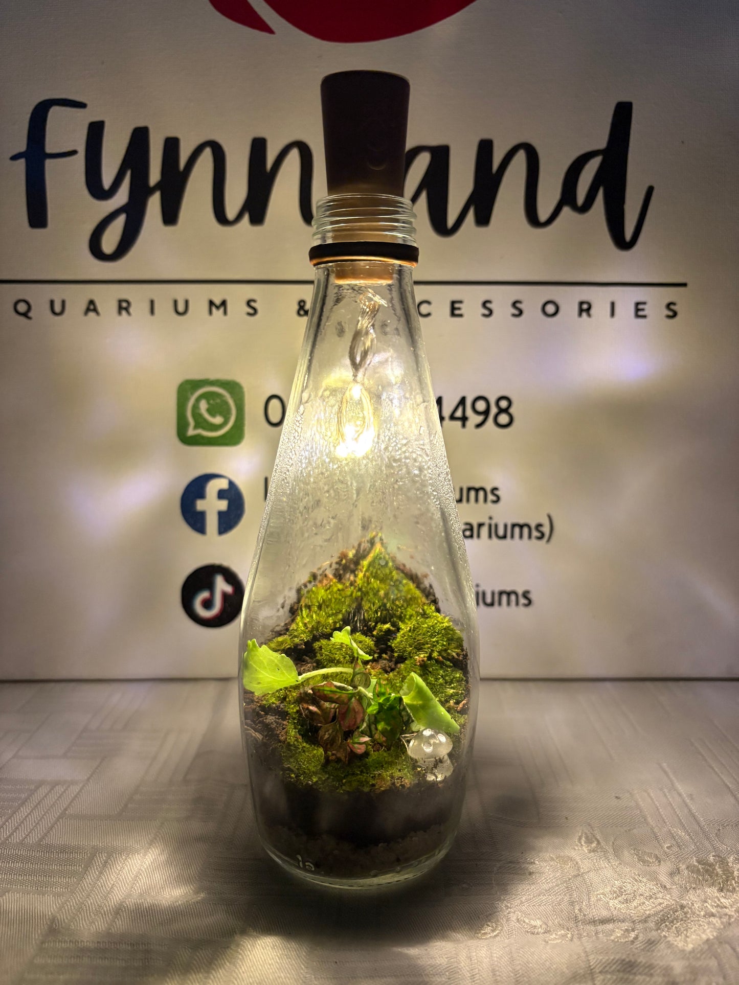 Sefu – Pirate Bottle Terrarium with LED Light