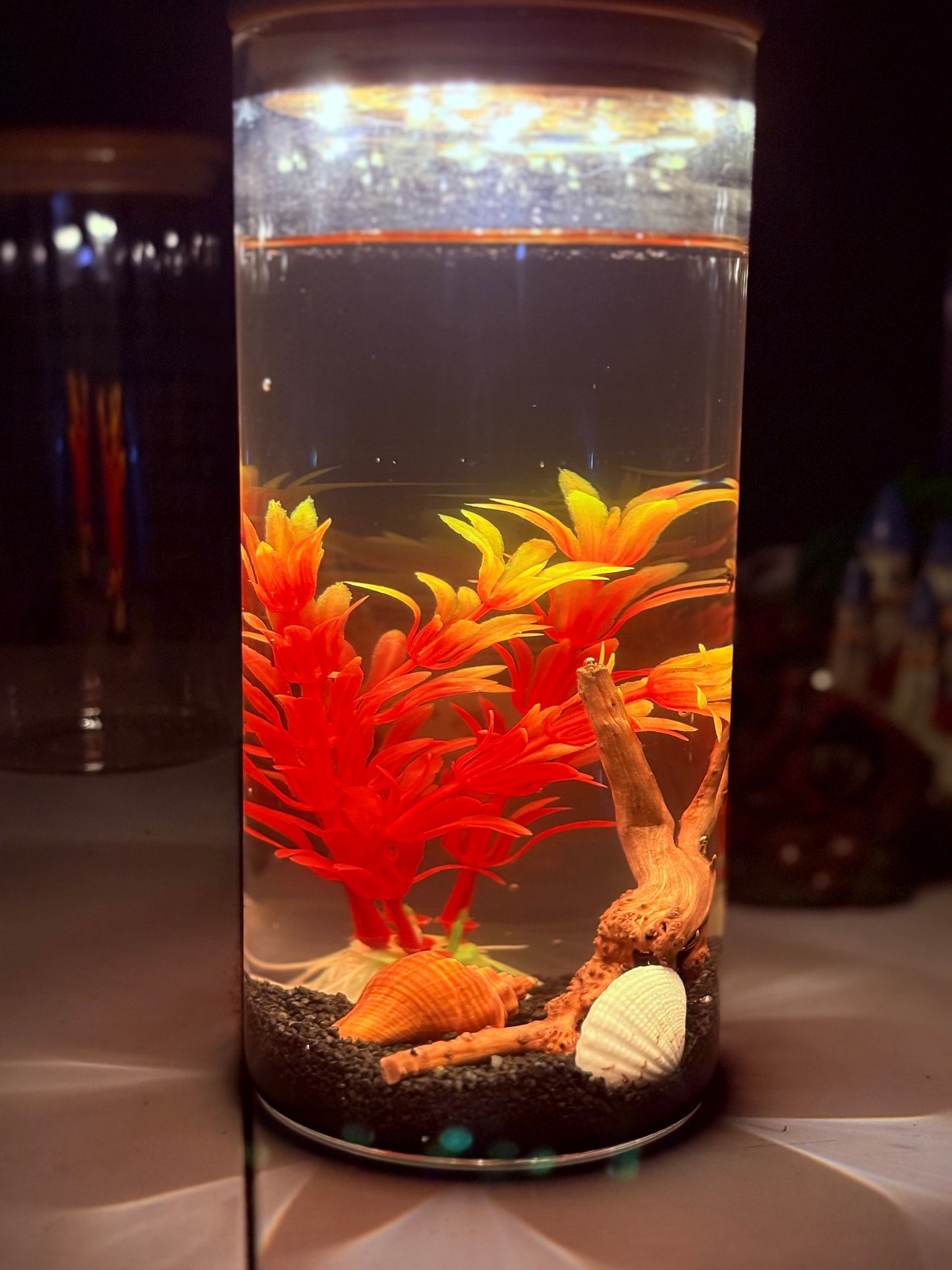 "Zari DIY mini jar aquarium kit with gravel, artificial plant, LED light, and decorative elements – bestselling desktop tank by Infinity Aquariums South Africa"