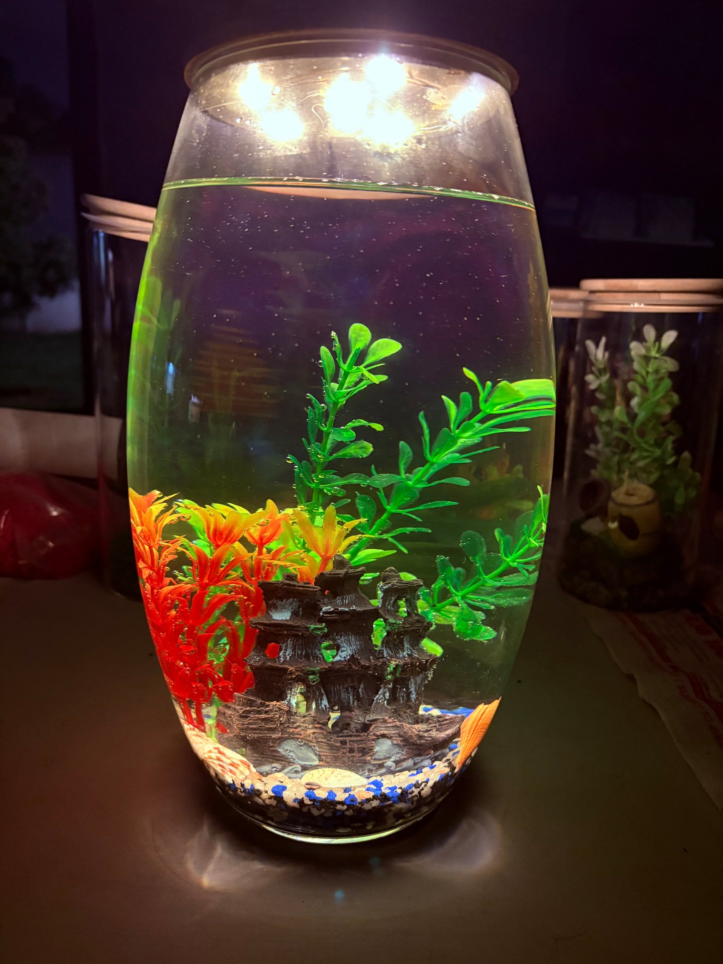 "Thabile DIY mini jar aquarium kit with colorful gravel, LED lid, and decorative plant – fun desktop tank by Infinity Aquariums South Africa"