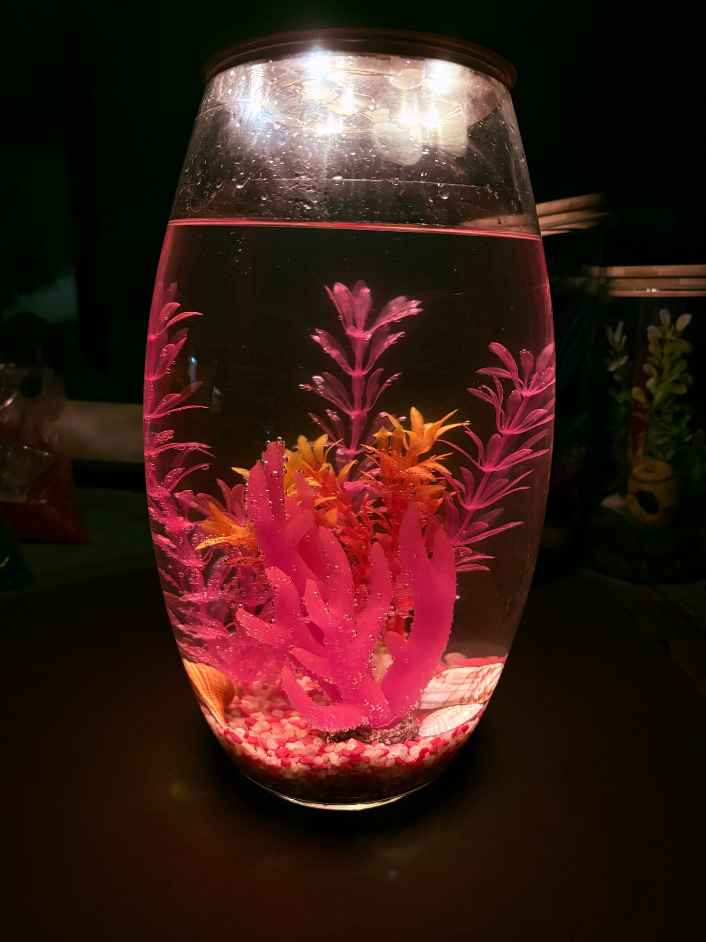 "Thabile DIY mini jar aquarium kit with colorful gravel, LED lid, and decorative plant – fun desktop tank by Infinity Aquariums South Africa"