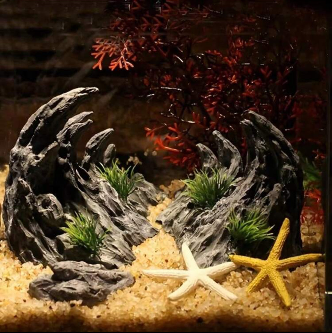 Aquascape
