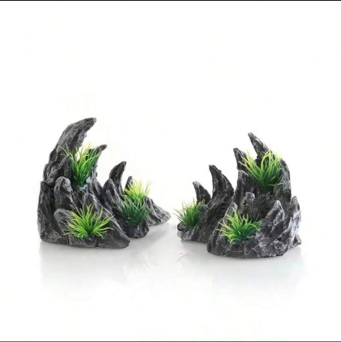 Aquascape
