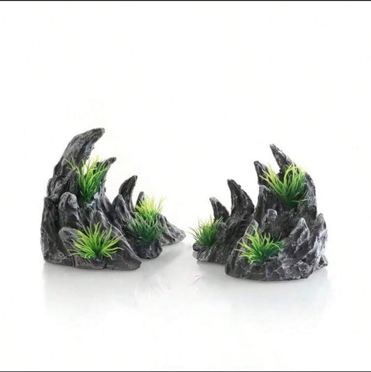 Aquascape