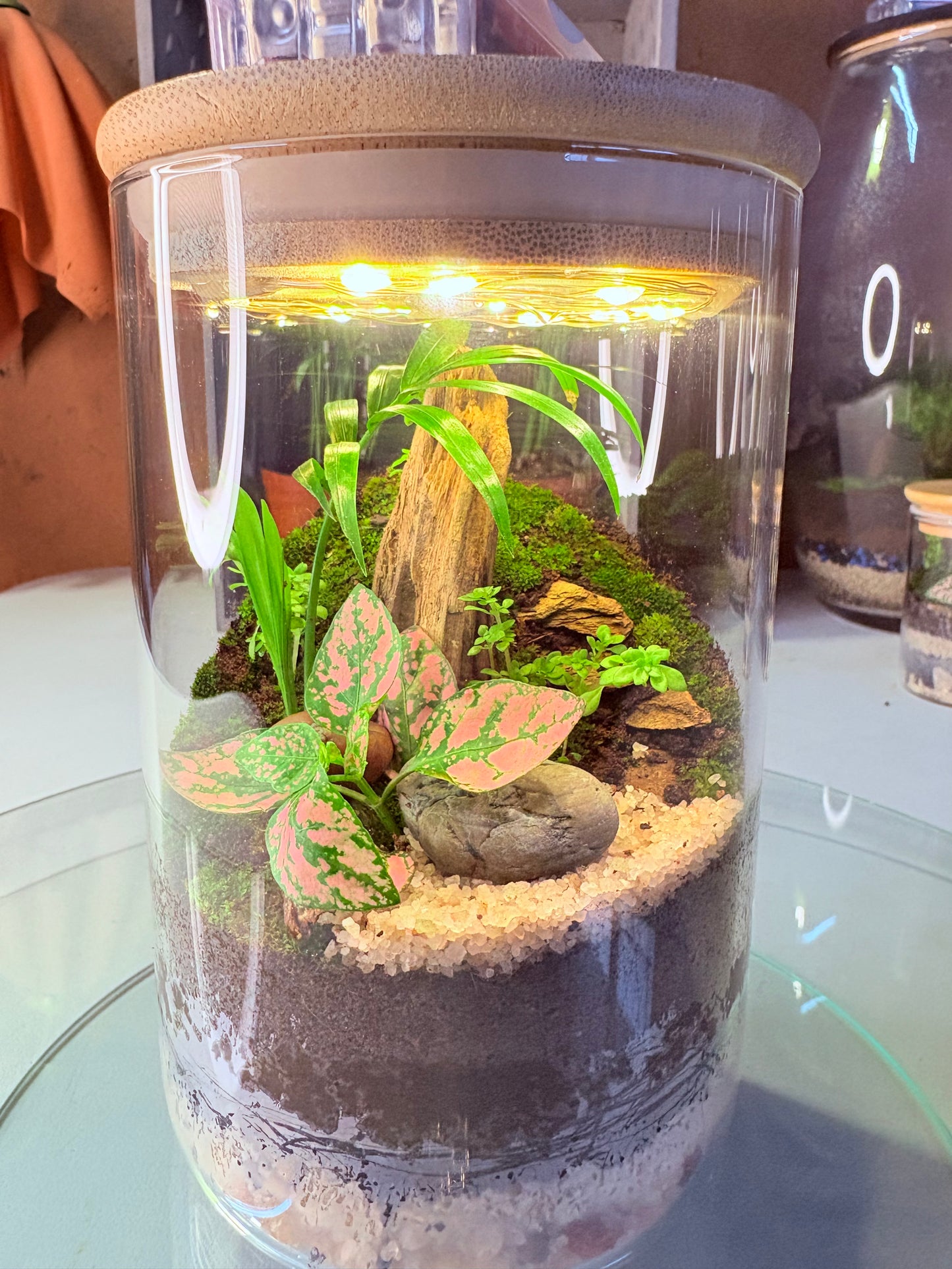 "Handcrafted jar terrarium with preserved moss, stones, and natural decor β elegant glass garden by FynnLand Aquariums South Africa"
