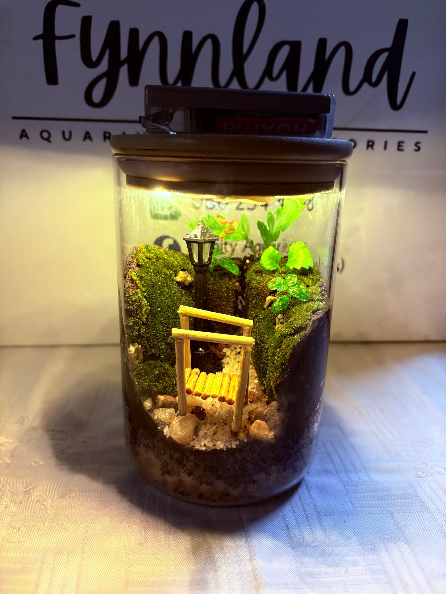πΏ Lela β Ready-Made Mini Terrarium with LED Light