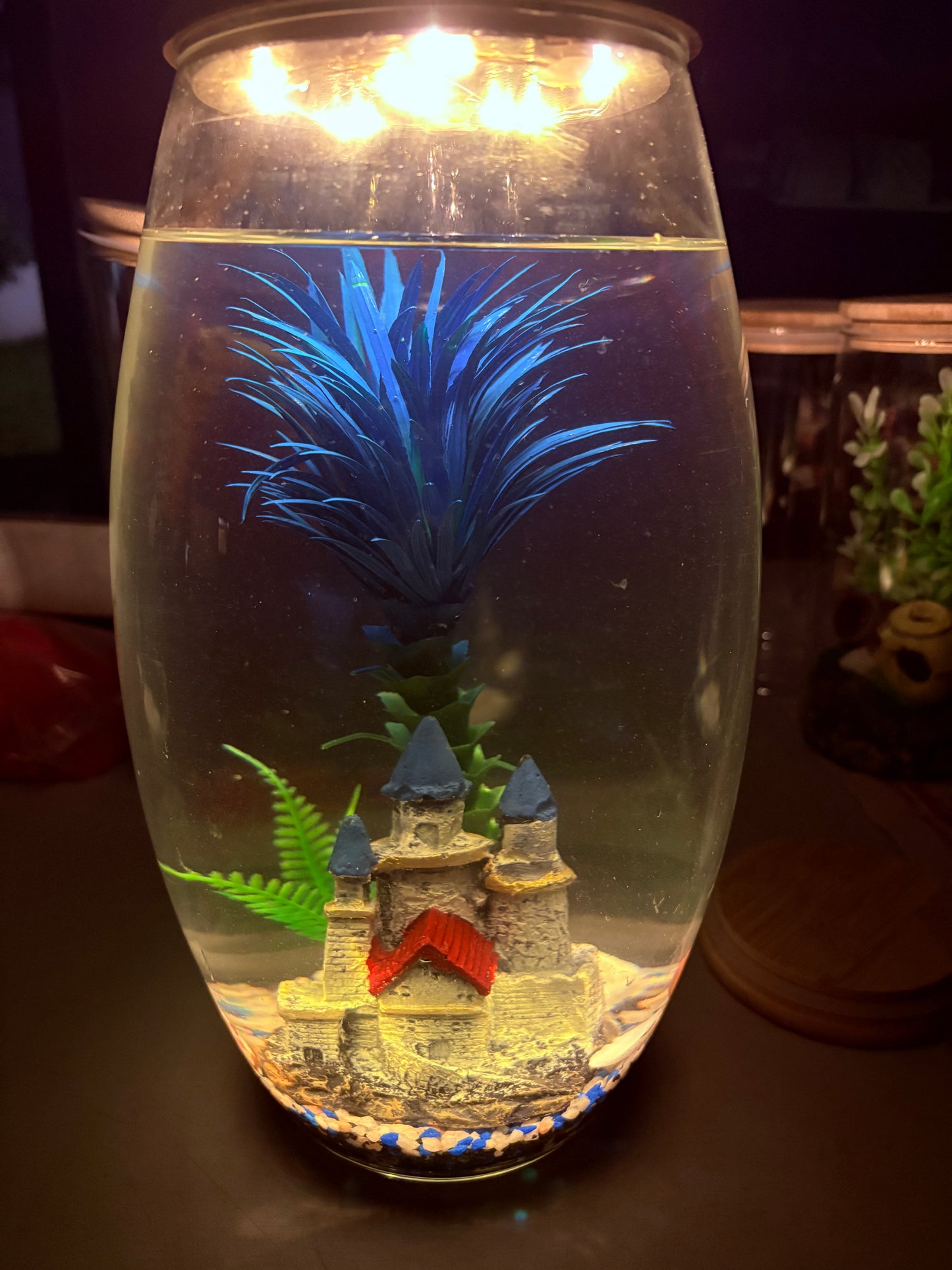 "Thabile DIY mini jar aquarium kit with colorful gravel, LED lid, and decorative plant – fun desktop tank by Infinity Aquariums South Africa"