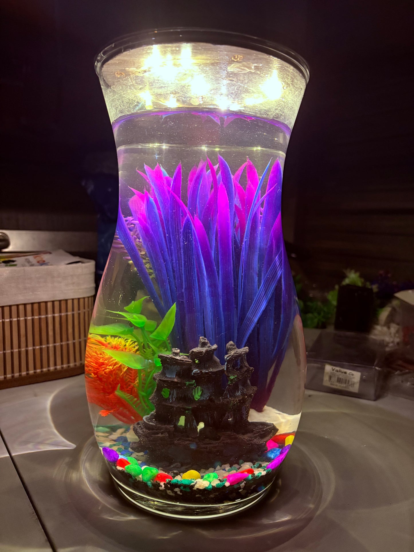 "Melo DIY mini jar aquarium kit with calming decor, artificial plant, and LED light – handcrafted by Infinity Aquariums South Africa"