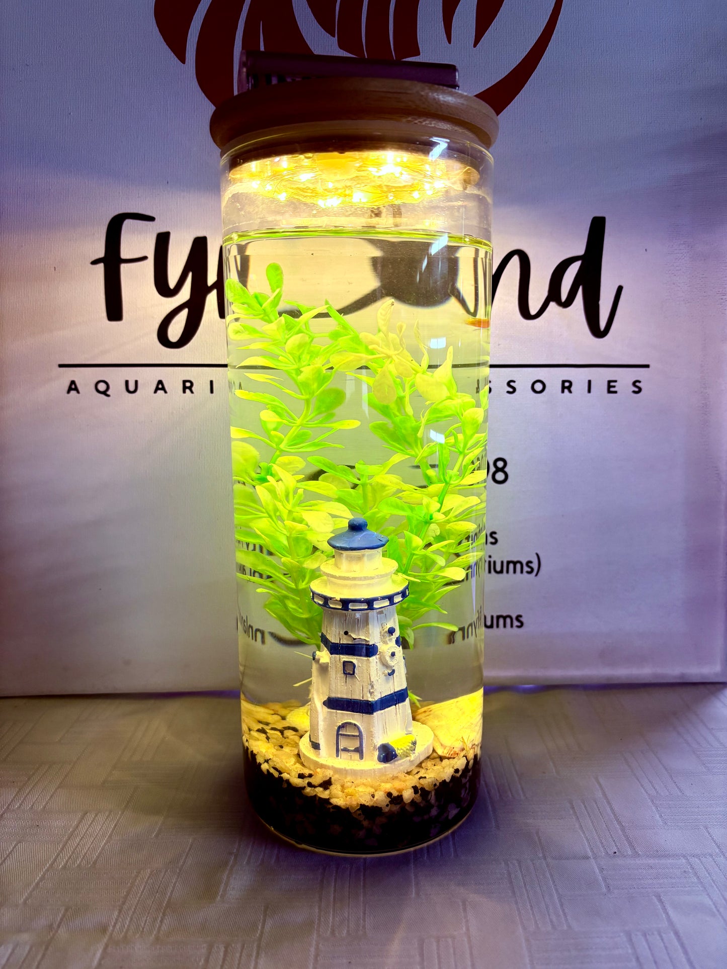 ✨ Zari – The Elegant DIY Muse - Mini Jar DIY Aquarium Kit with Gravel & Décor (Bestseller)