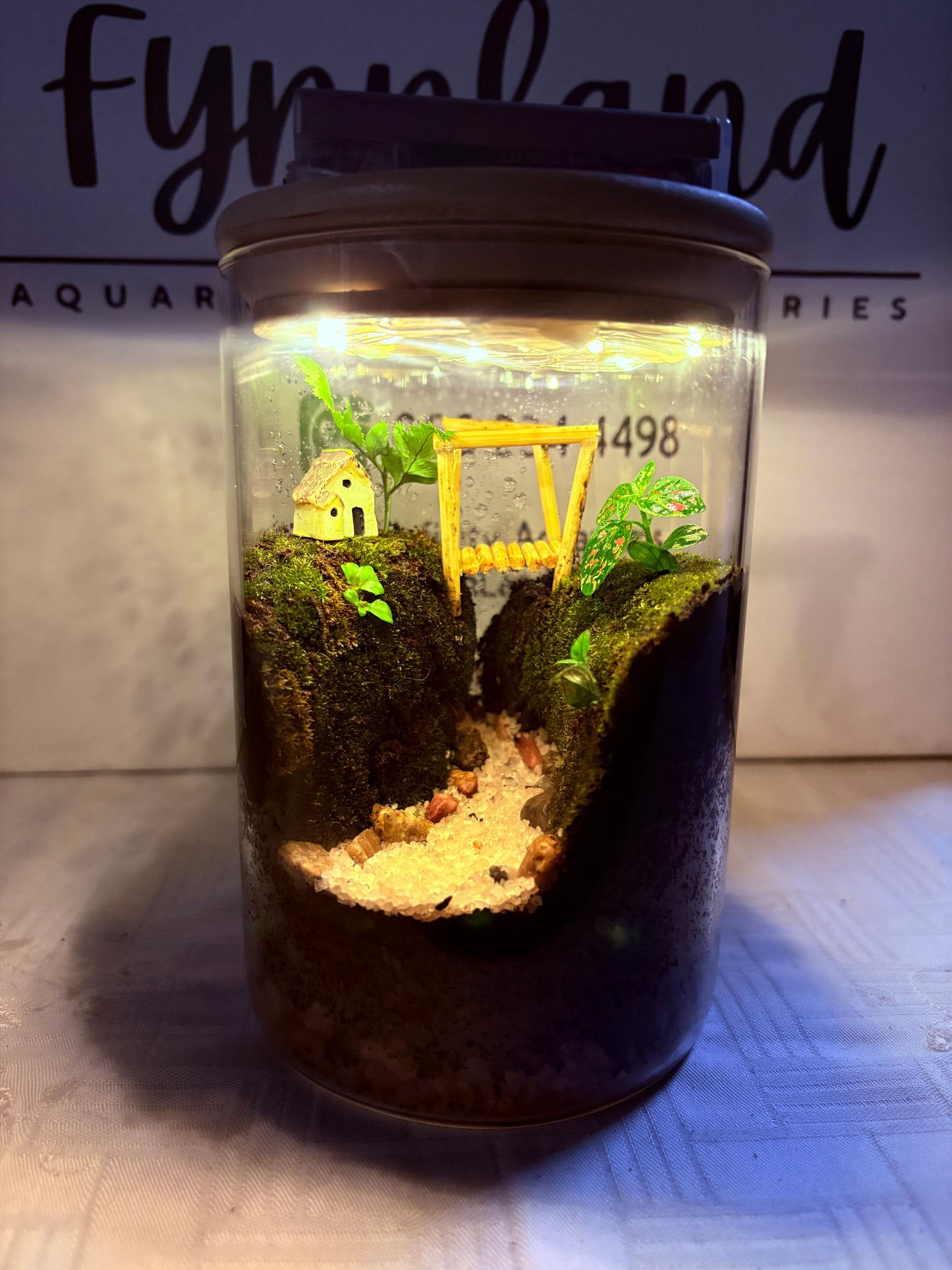 πΏ Lela β Ready-Made Mini Terrarium with LED Light