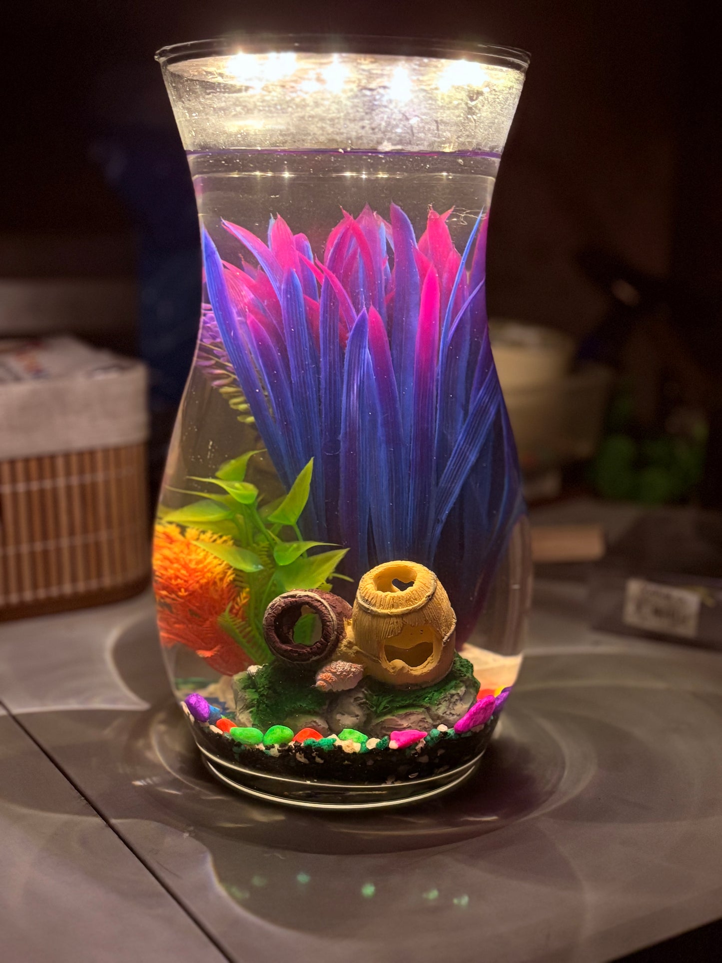 "Melo DIY mini jar aquarium kit with calming decor, artificial plant, and LED light – handcrafted by Infinity Aquariums South Africa"