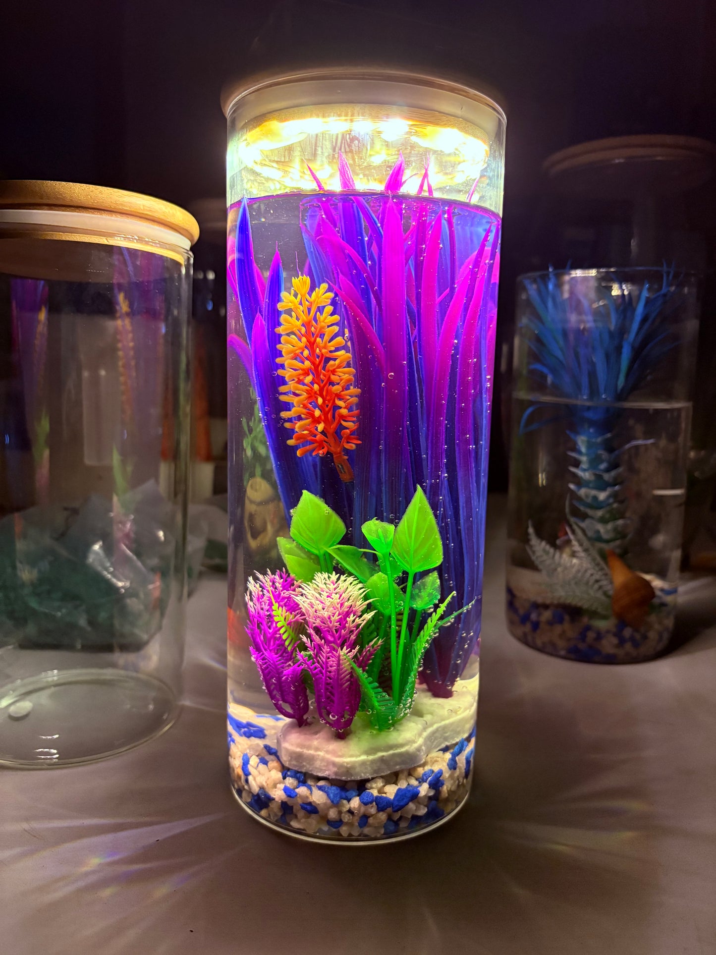 "Zari DIY mini jar aquarium kit with gravel, artificial plant, LED light, and decorative elements – bestselling desktop tank by Infinity Aquariums South Africa"