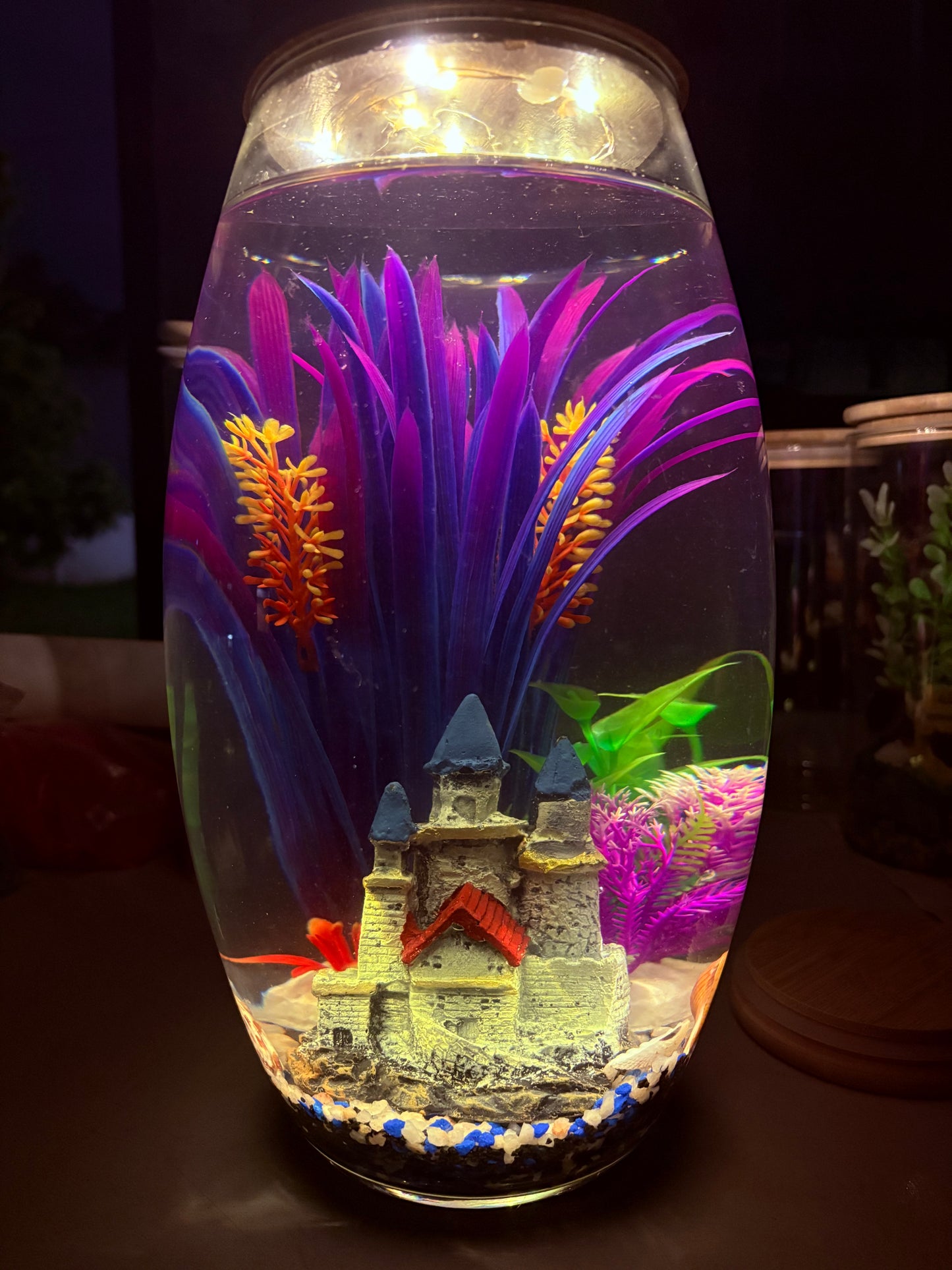"Thabile DIY mini jar aquarium kit with colorful gravel, LED lid, and decorative plant – fun desktop tank by Infinity Aquariums South Africa"