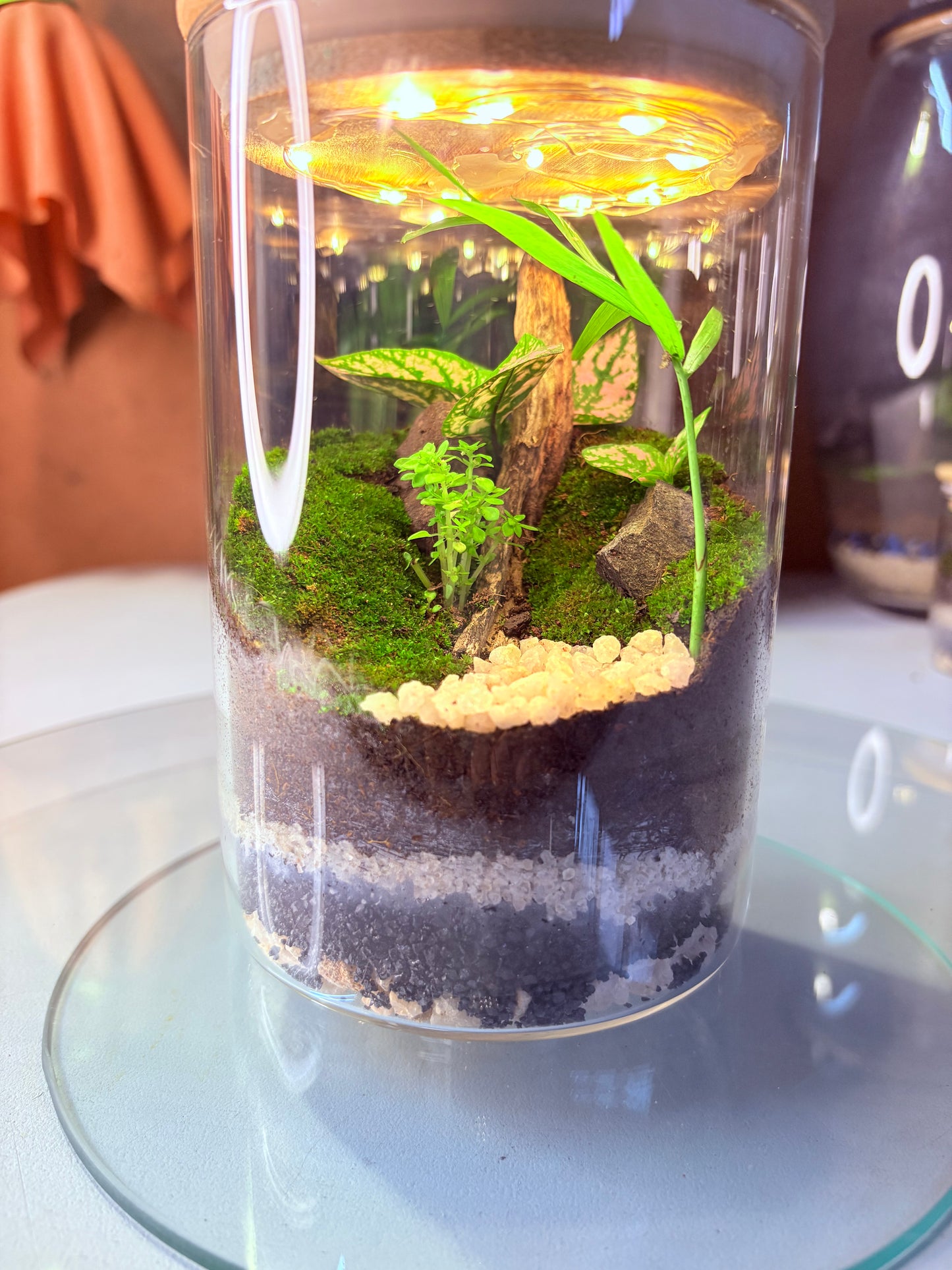 "Handcrafted jar terrarium with preserved moss, stones, and natural decor β elegant glass garden by FynnLand Aquariums South Africa"