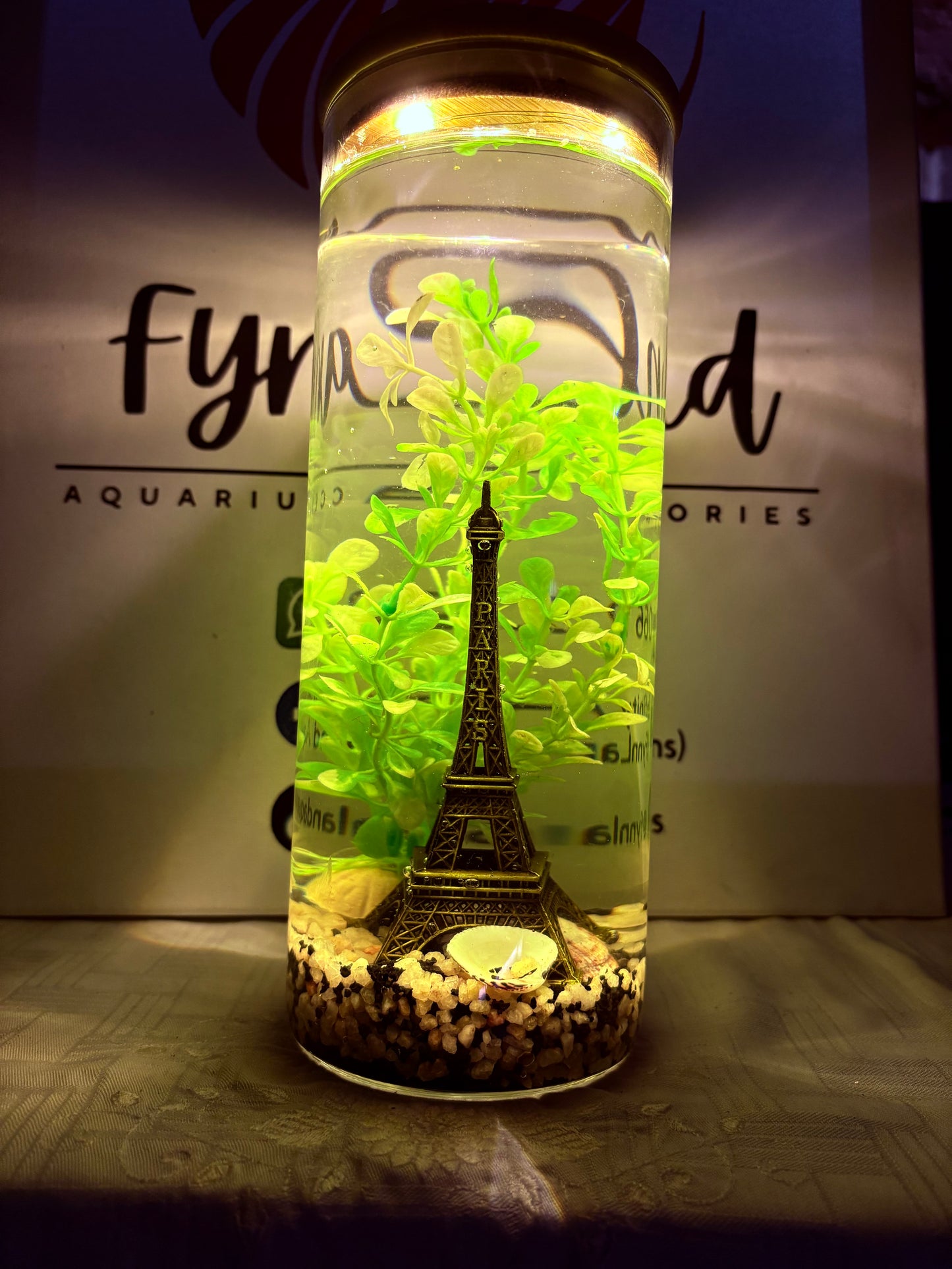 ✨ Zari – The Elegant DIY Muse - Mini Jar DIY Aquarium Kit with Gravel & Décor (Bestseller)