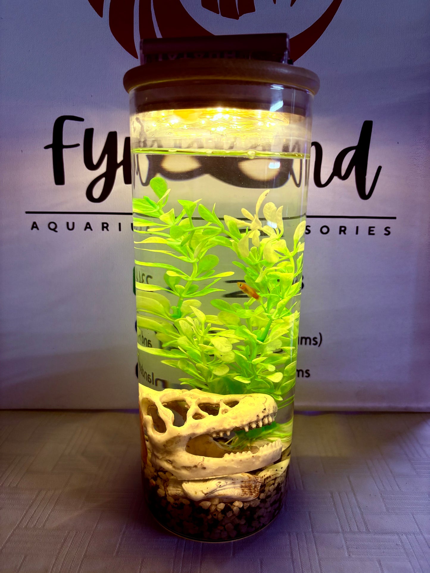 ✨ Zari – The Elegant DIY Muse - Mini Jar DIY Aquarium Kit with Gravel & Décor (Bestseller)