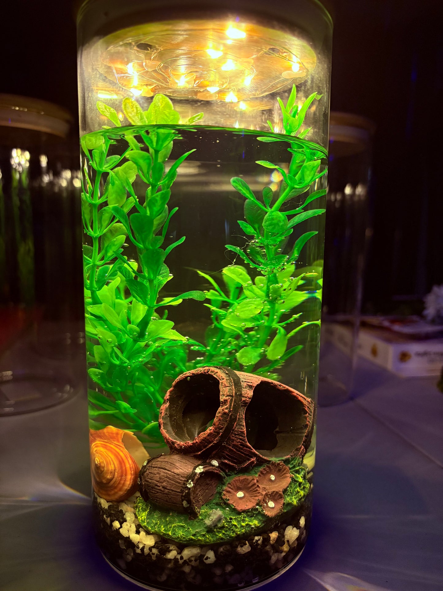"Zari DIY mini jar aquarium kit with gravel, artificial plant, LED light, and decorative elements – bestselling desktop tank by Infinity Aquariums South Africa"
