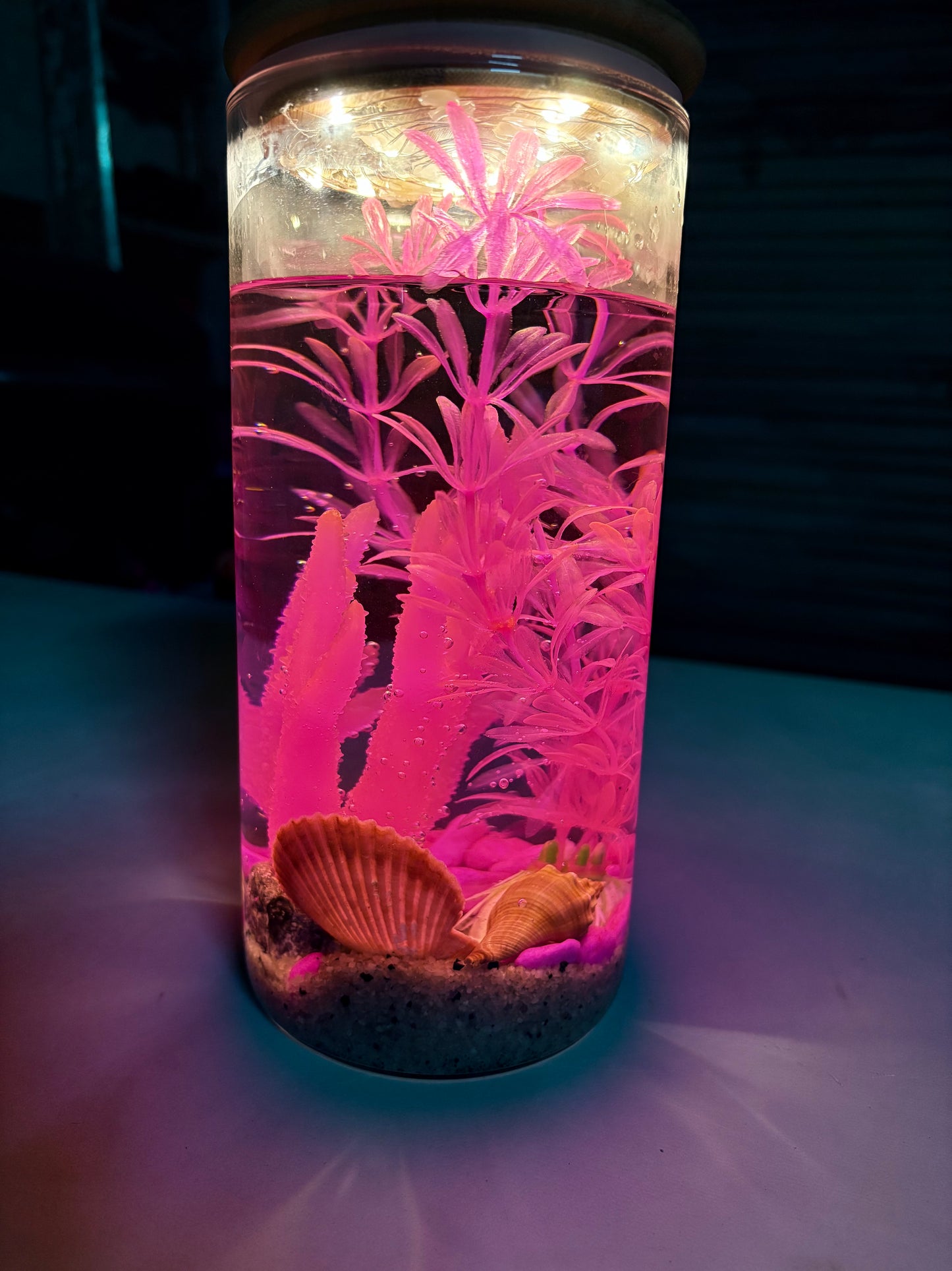 "Zari DIY mini jar aquarium kit with gravel, artificial plant, LED light, and decorative elements – bestselling desktop tank by Infinity Aquariums South Africa"