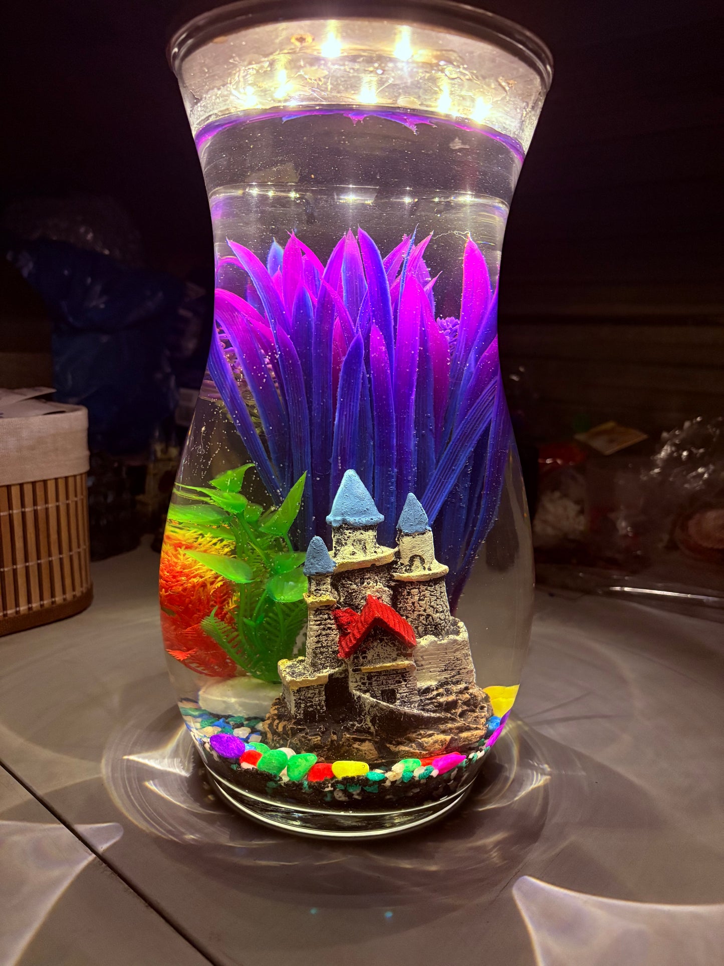 "Melo DIY mini jar aquarium kit with calming decor, artificial plant, and LED light – handcrafted by Infinity Aquariums South Africa"