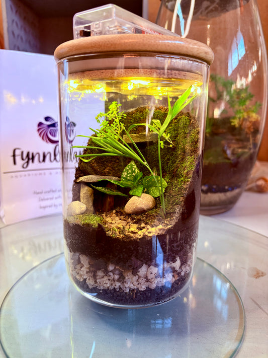 Medium glass jar terrarium with LED lights, treated bamboo lid, and preserved moss – battery operated and handcrafted