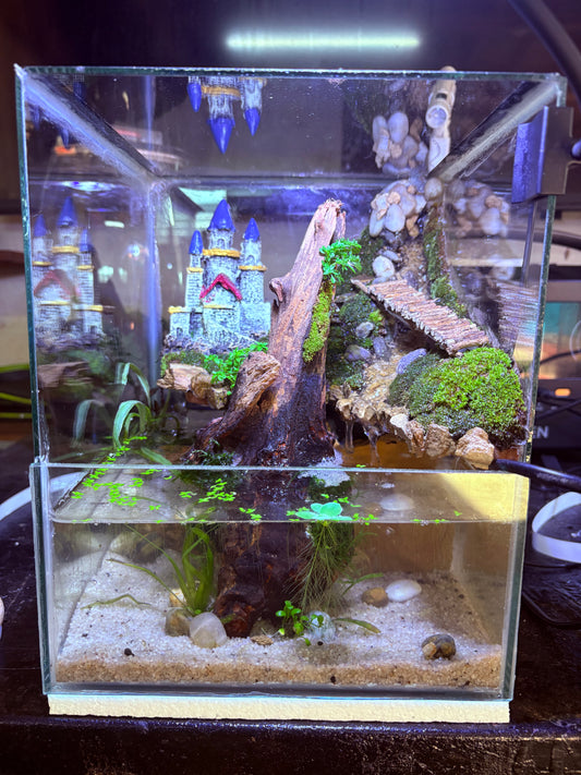 🌊 Kumo – Ready-Made Cube Paludarium with Waterfall & LED Light