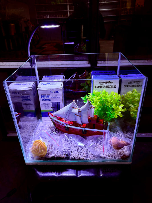 “Lwandle DIY cube mini aquarium