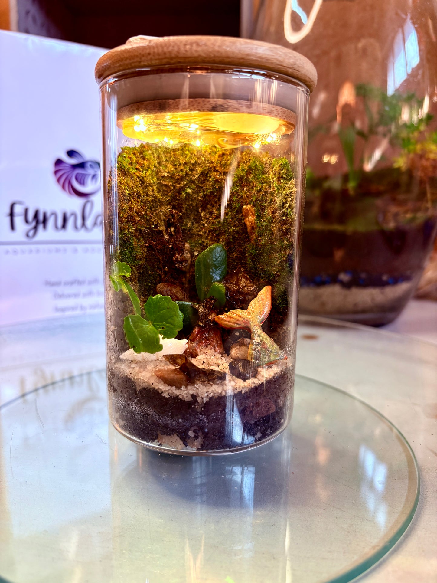 Nia – Compact Ready-Made Terrarium with LED Light