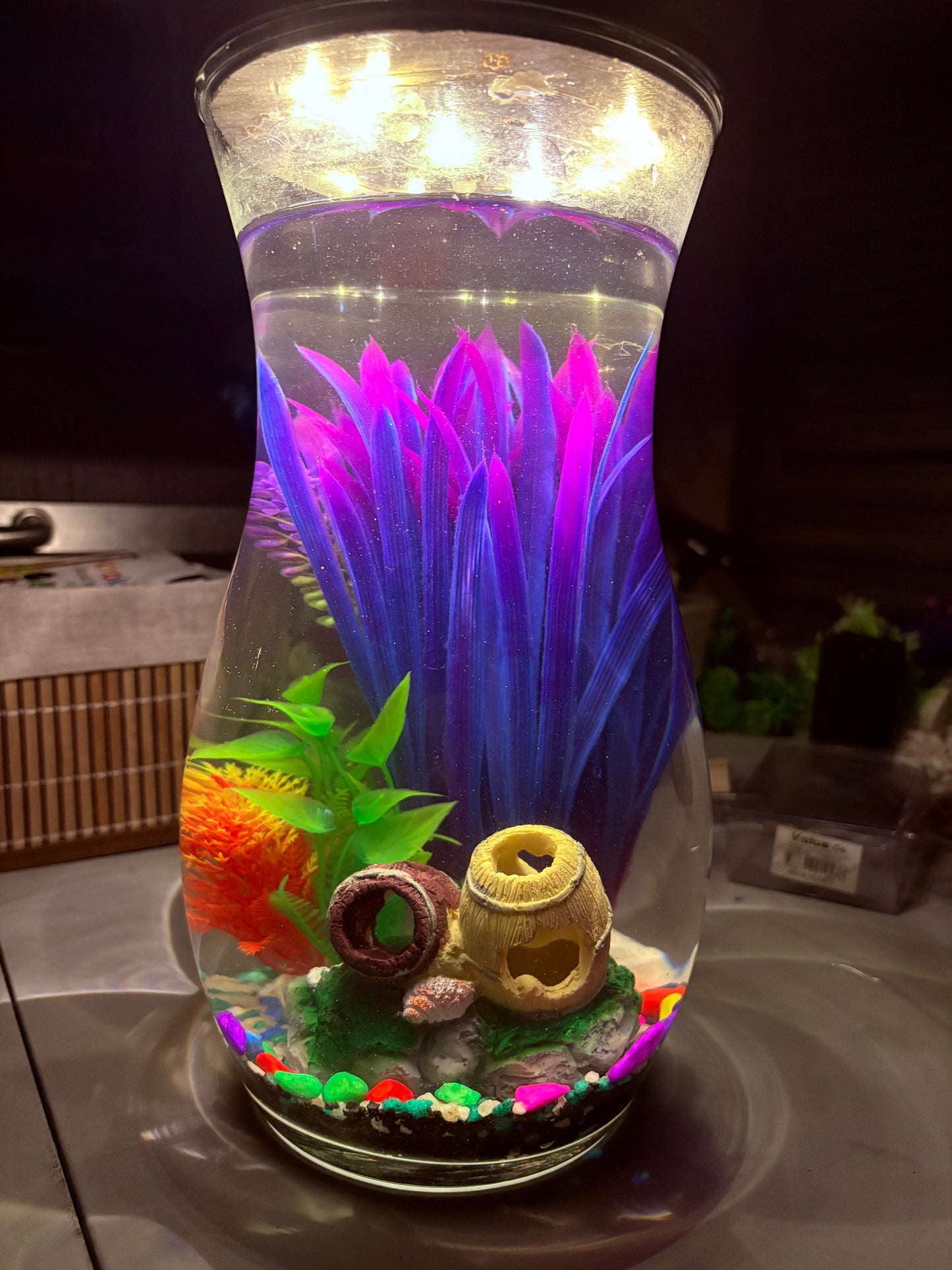 "Melo DIY mini jar aquarium kit with calming decor, artificial plant, and LED light – handcrafted by Infinity Aquariums South Africa"