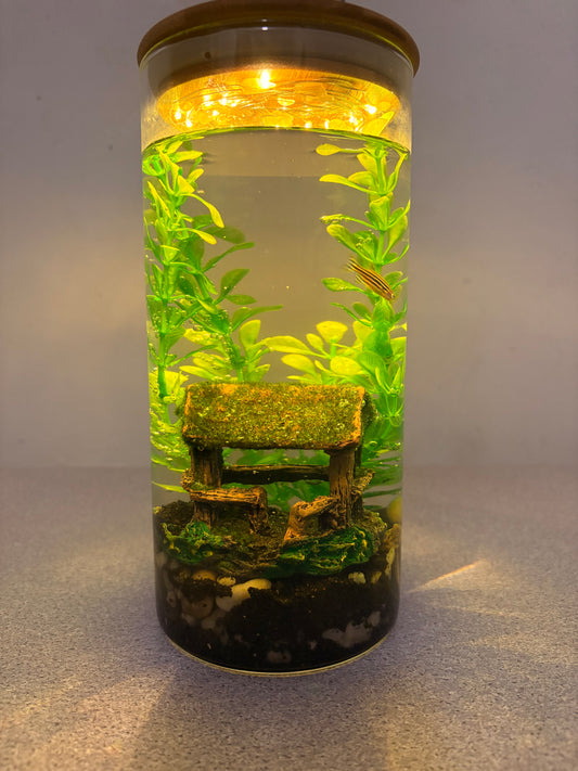 "Zari DIY mini jar aquarium kit with gravel, artificial plant, LED light, and decorative elements – bestselling desktop tank by Infinity Aquariums South Africa"
