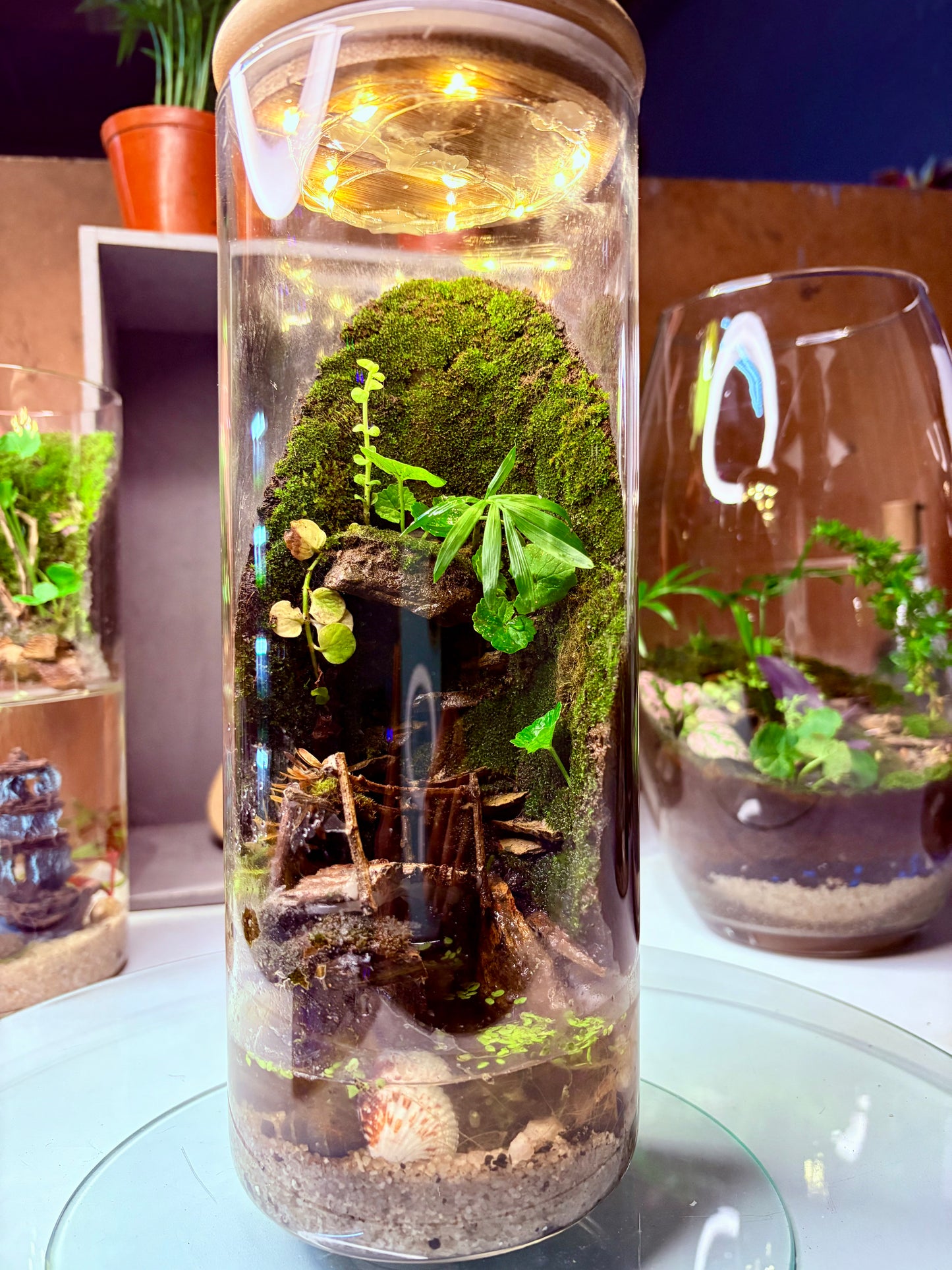 🌿 Zari – Paludarium - LED Light